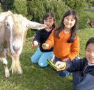 Johanna River Farm and Cottages - Sydney 4u