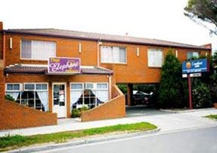 Comfort Inn Bay City Geelong - Accommodation Sydney 0