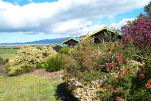 Black Cockatoo Cottages - Sydney 4u 0