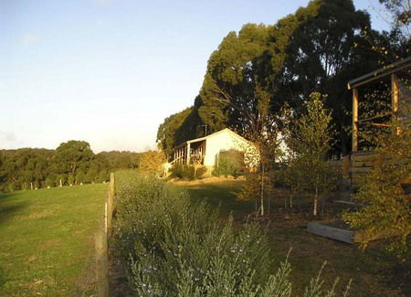 Birchwood Retreat Country Cottages - Sydney 4u 3
