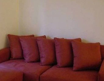 Tropical Coast Retreat - Accommodation Sydney 1