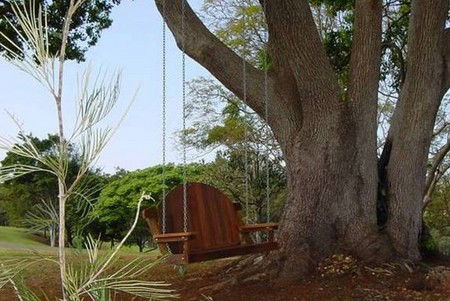 Tropical Coast Retreat - Accommodation Sydney 2