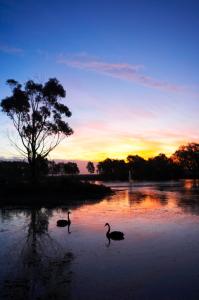 WorldMark Resort Ballarat - Accommodation Sydney 5