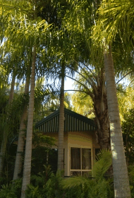 BIG4 Tropical Wanderer Resort - Accommodation Sydney