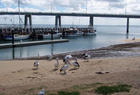 BIG4 Phillip Island Caravan Park - Accommodation Sydney 5