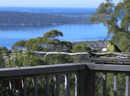 Binalong Bay TAS Accommodation Sydney