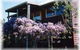 Chestnut Brook Cottage - thumb 1