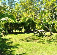 Wooli Caravan Park - Accommodation Sydney