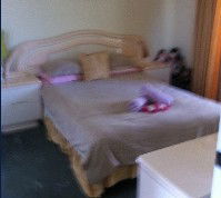 Lake Illawarra Bed & Breakfast - Sydney 4u 2