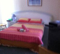 Lake Illawarra Bed & Breakfast - Sydney 4u 4