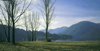 Ashton Townhouse Motel & Suites Tumut - Sydney 4u 3