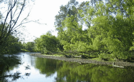 Ribbonwood Cottages - Sydney 4u