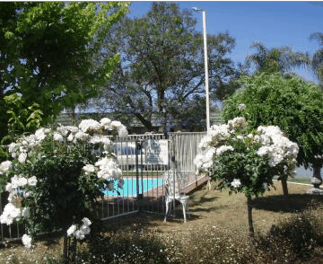 Aromet Motor Inn - Accommodation Sydney 5