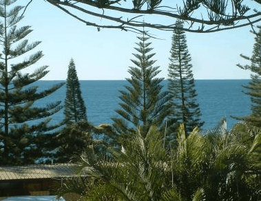 Next Seabreeze Beach Hotel - Sydney 4u 2