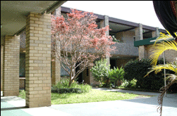 Amg Ryde Sydney - Accommodation Sydney