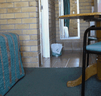 Dragon  Phoenix Motel - Accommodation Sydney