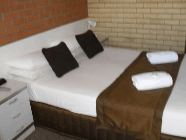 Bondi Motel - Accommodation Sydney 3