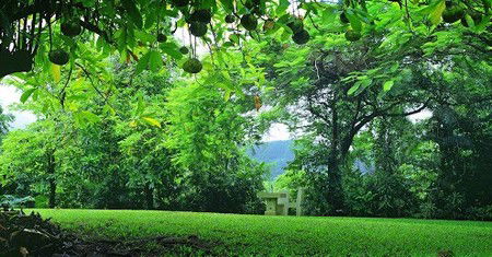Misty Mountain Retreat - Sydney 4u 0