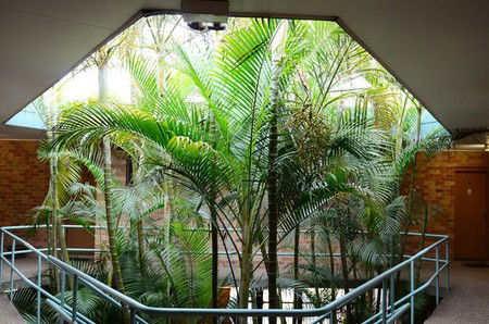 Bankstown Motel 10 - Accommodation Sydney 5