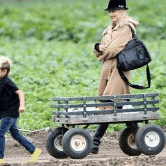 Perth City Farm Organic Markets - Sydney 4u