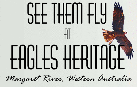 Eagles Heritage Raptor Wildlife Centre - Sydney 4u 0
