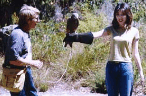 Eagles Heritage Raptor Wildlife Centre - Sydney 4u 2