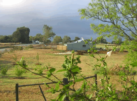 The House Of Honey - thumb 2