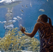 The Aquarium of Western Australia - Accommodation Sydney