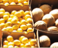 Brisbane Markets - Accommodation Sydney