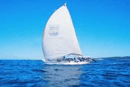 Manly Harbour Village - Accommodation Sydney 0