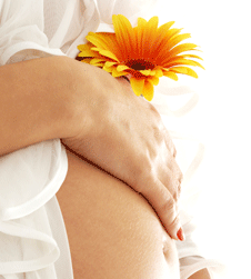 Glow Retreat - Sydney Resort 1