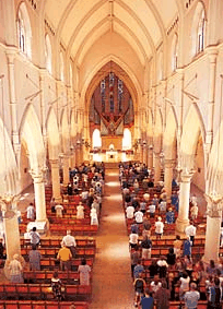 The Cathedral Of Saint Stephen - Accommodation Sydney 2
