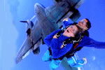 Simply Skydive - Accommodation Sydney 2