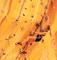 Rocksports Indoor Climbing - Accommodation Sydney