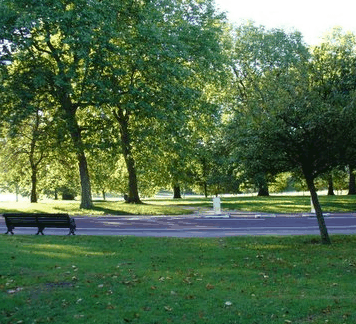 Beth Boyd Park - Accommodation Sydney