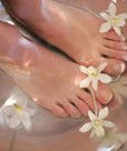 Orchid Day Spa - Accommodation Sydney 0