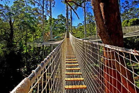 Thunderbird Park - Accommodation Sydney 0