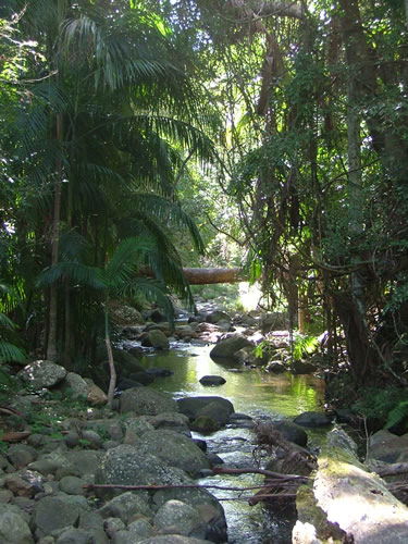 Thunderbird Park - Accommodation Sydney 2