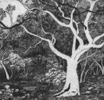 Tacit Contemporary Art - Accommodation Sydney
