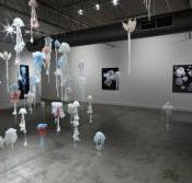 Nellie Castan Gallery - Accommodation Sydney