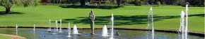 Kings Park Botanic Gardens - Accommodation Sydney 3