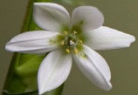 Soul Treat - Sydney Resort 2