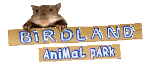 Birdland Animal Park - Accommodation Sydney 0