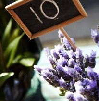 High Street Armadale - Accommodation Sydney 1