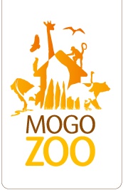 Mogo NSW Accommodation Sydney