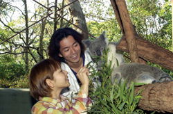 Taronga Zoo - Sydney 4u 2