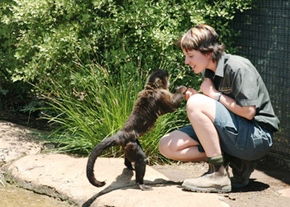 National Zoo & Aquarium - Sydney 4u 1