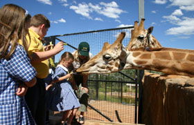 National Zoo & Aquarium - Sydney 4u 2