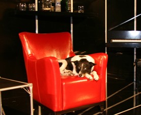 Woolloomooloo NSW Accommodation Sydney