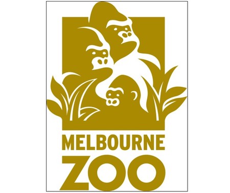 Melbourne Zoo - Accommodation Sydney 0